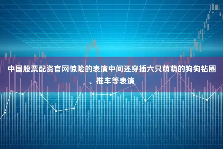 中国股票配资官网惊险的表演中间还穿插六只萌萌的狗狗钻圈、推车等表演